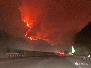 广东肇庆山火600人扑救_广东肇庆山火明火已扑灭