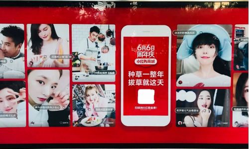 美国女孩小红书捞中国同学神速成功_美国女孩小红书捞中国同学神速成功，回应小红书捞